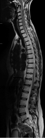 Francesco Alberto Vizzari-7