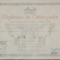 Ingrandire l'immagine: certificate 1