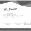 Ingrandire l'immagine: certificate 3