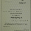 Ingrandire l'immagine: certificate 4