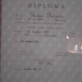 Ingrandire l'immagine: certificate 1