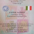 Ingrandire l'immagine: certificate 6
