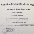Ingrandire l'immagine: certificate 5