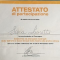 Ingrandire l'immagine: certificate 1