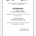 Ingrandire l'immagine: certificate 11