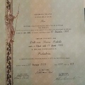 Ingrandire l'immagine: certificate 2