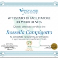 Ingrandire l'immagine: certificate 7
