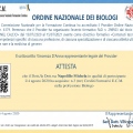 Ingrandire l'immagine: certificate 17