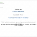 Ingrandire l'immagine: certificate 9