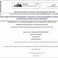 Ingrandire l'immagine: certificate 8