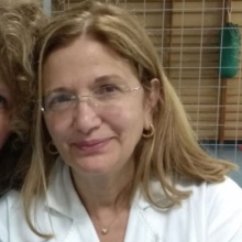 Ingrandire l'immagine: Anna De Marco, urologo Napoli