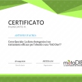 Ingrandire l'immagine: certificate 5