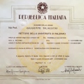 Ingrandire l'immagine: certificate 1