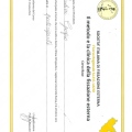 Ingrandire l'immagine: certificate 3