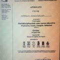 Ingrandire l'immagine: certificate 1