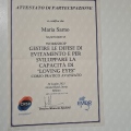 Ingrandire l'immagine: certificate 7