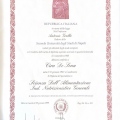 Ingrandire l'immagine: certificate 1