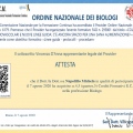 Ingrandire l'immagine: certificate 4