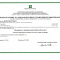 Ingrandire l'immagine: certificate 7