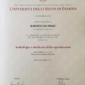 Ingrandire l'immagine: certificate 1