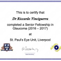 Ingrandire l'immagine: certificate 2