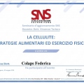 Ingrandire l'immagine: certificate 4