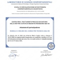 Ingrandire l'immagine: certificate 6