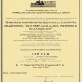 Ingrandire l'immagine: certificate 1