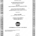Ingrandire l'immagine: certificate 1