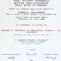 Ingrandire l'immagine: certificate 4