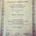 Ingrandire l'immagine: certificate 2
