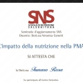 Ingrandire l'immagine: certificate 11