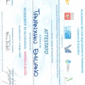 Ingrandire l'immagine: certificate 9