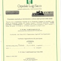 Ingrandire l'immagine: certificate 7