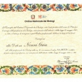 Ingrandire l'immagine: certificate 1