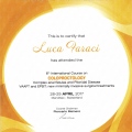 Ingrandire l'immagine: certificate 2