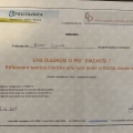 Ingrandire l'immagine: certificate 7
