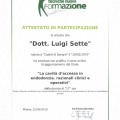 Ingrandire l'immagine: certificate 4