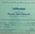 Ingrandire l'immagine: certificate 7
