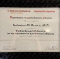 Ingrandire l'immagine: certificate 4
