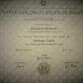 Ingrandire l'immagine: certificate 2