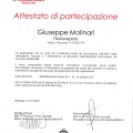 Ingrandire l'immagine: certificate 11
