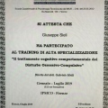 Ingrandire l'immagine: certificate 2