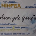 Ingrandire l'immagine: certificate 9