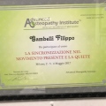 Ingrandire l'immagine: certificate 23