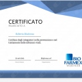 Ingrandire l'immagine: certificate 19