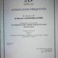 Ingrandire l'immagine: certificate 2