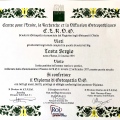 Ingrandire l'immagine: certificate 1