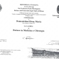 Ingrandire l'immagine: certificate 1