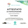 Ingrandire l'immagine: certificate 3